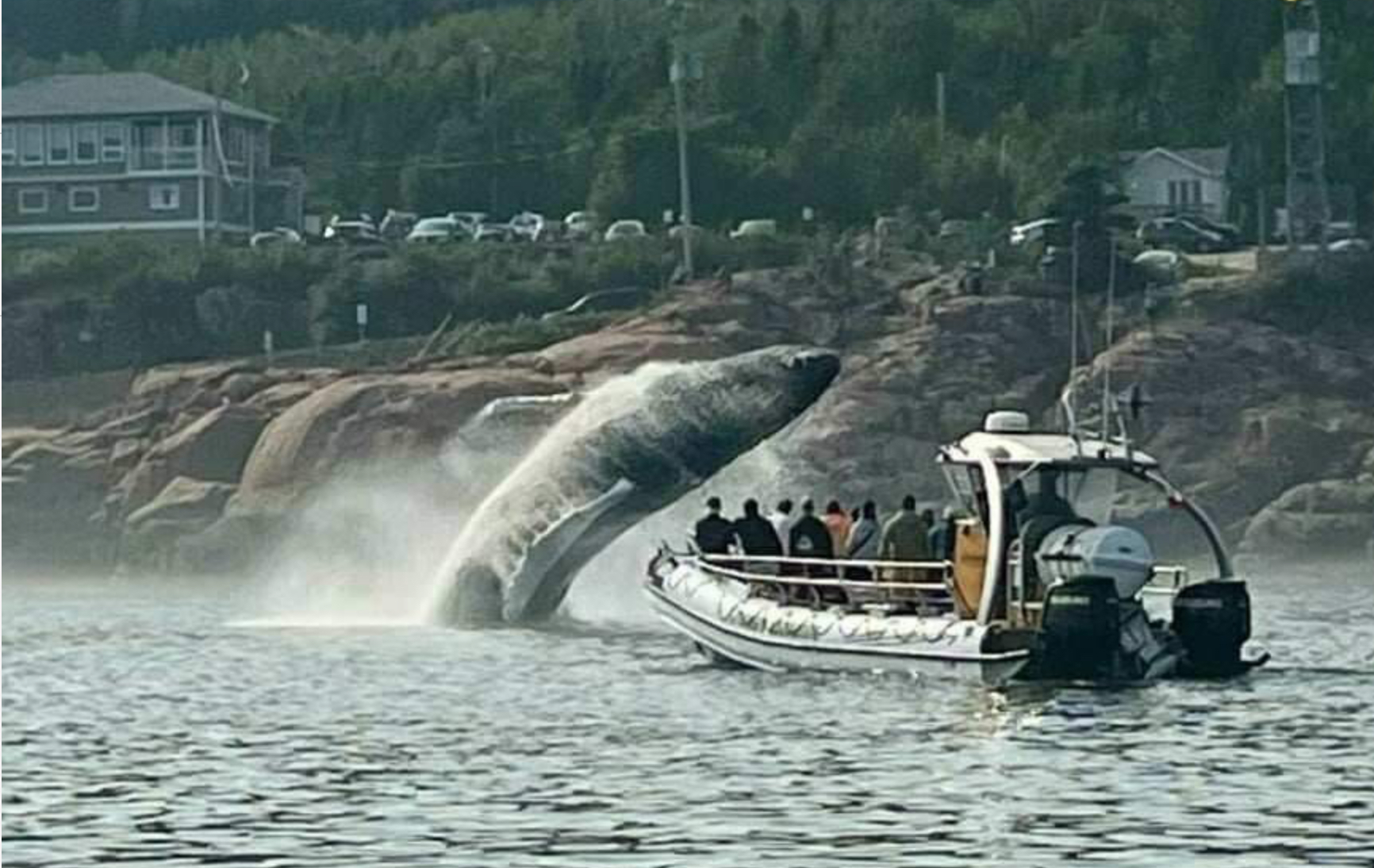 Croisières Escoumins